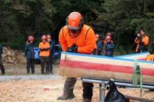 トピック画像[6]